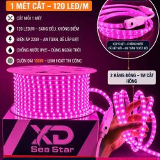 Đèn led sea star hồng tại Phương Oanh Phú Quốc