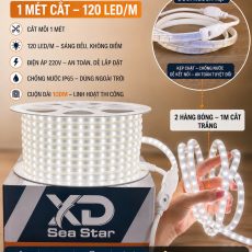 Đèn led sea star trắng tại Phương Oanh Phú Quốc